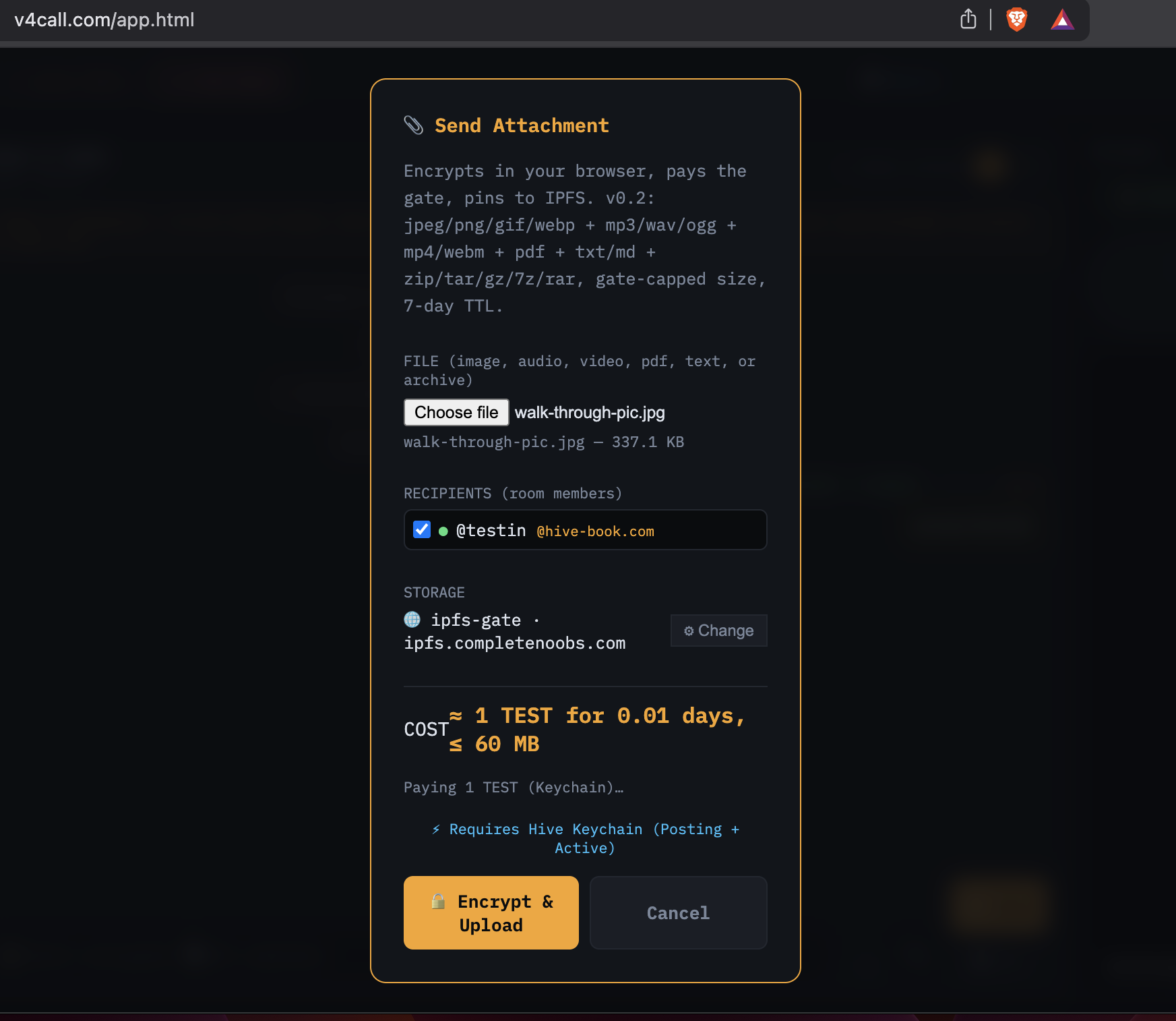 IPFS-Gate after file selection