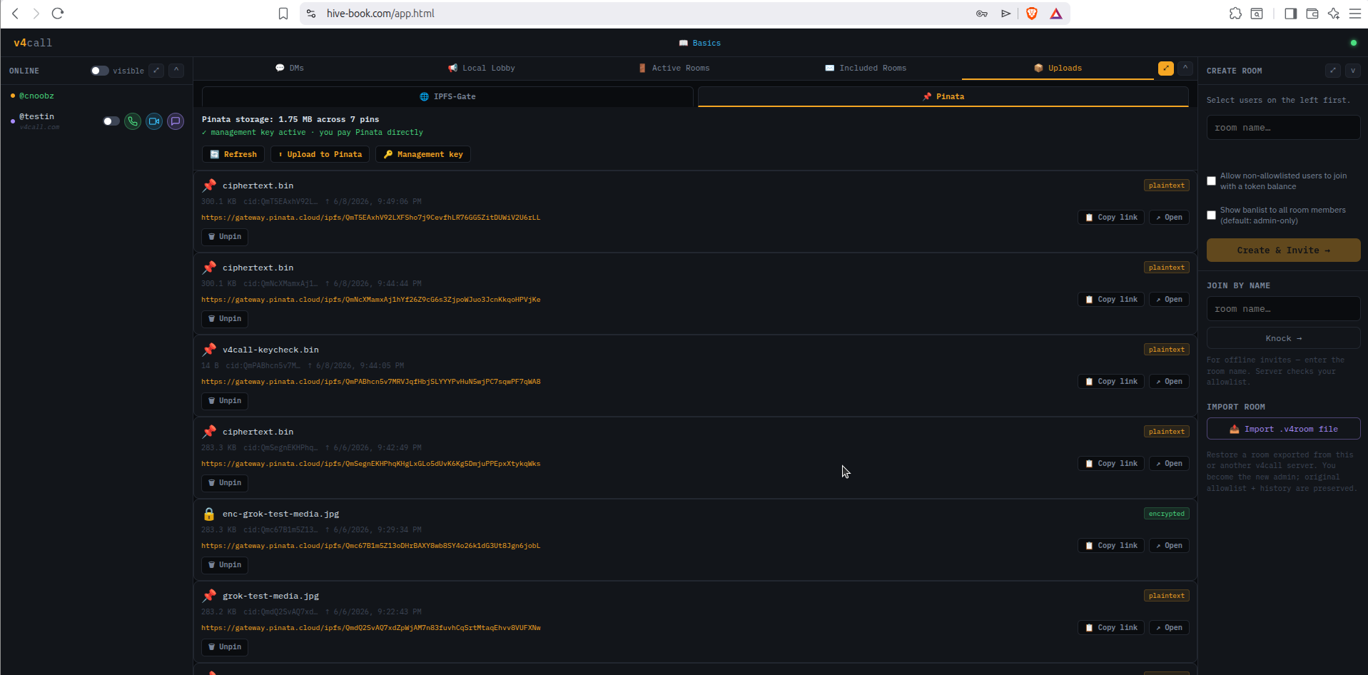 Pinata admin panel inside v4call